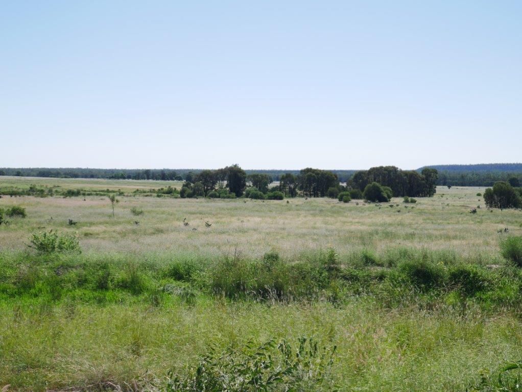 6402 CECIL PLAINS ROAD, Weir River QLD 4406, Image 0