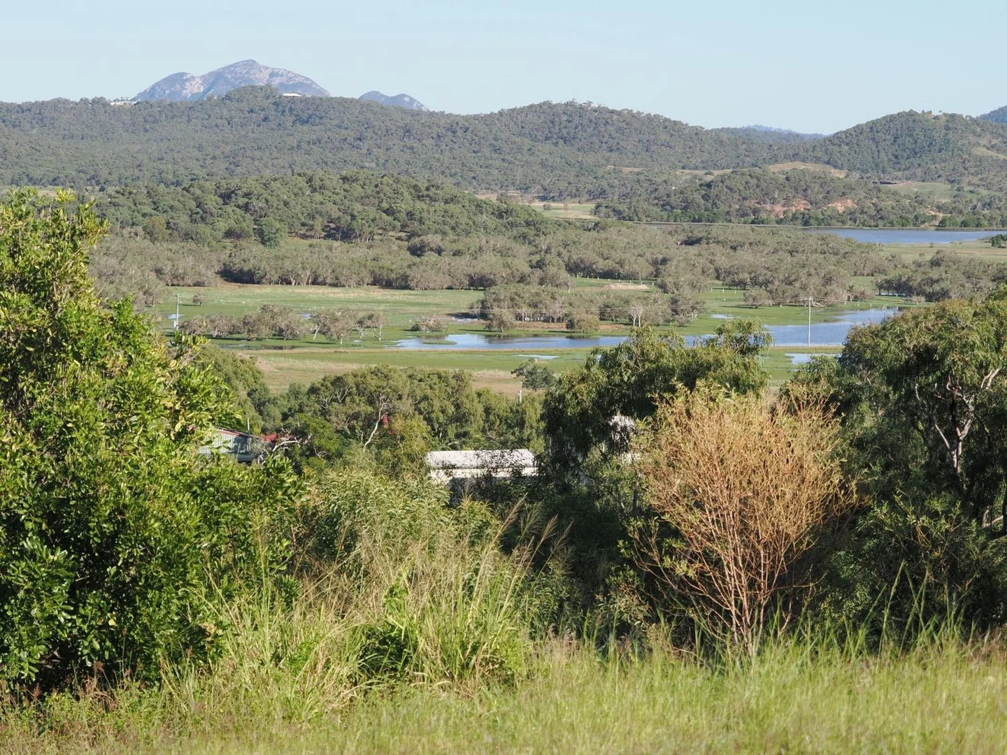 Image 12