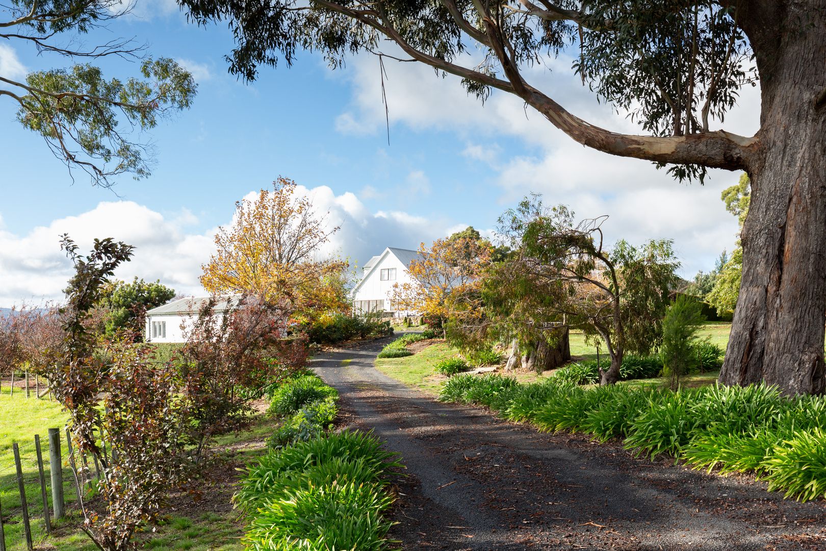 431 Glenwood Road, Relbia TAS 7258