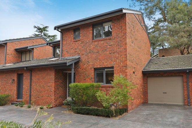 Picture of 5/15-17 Laburnum Street, BLACKBURN VIC 3130