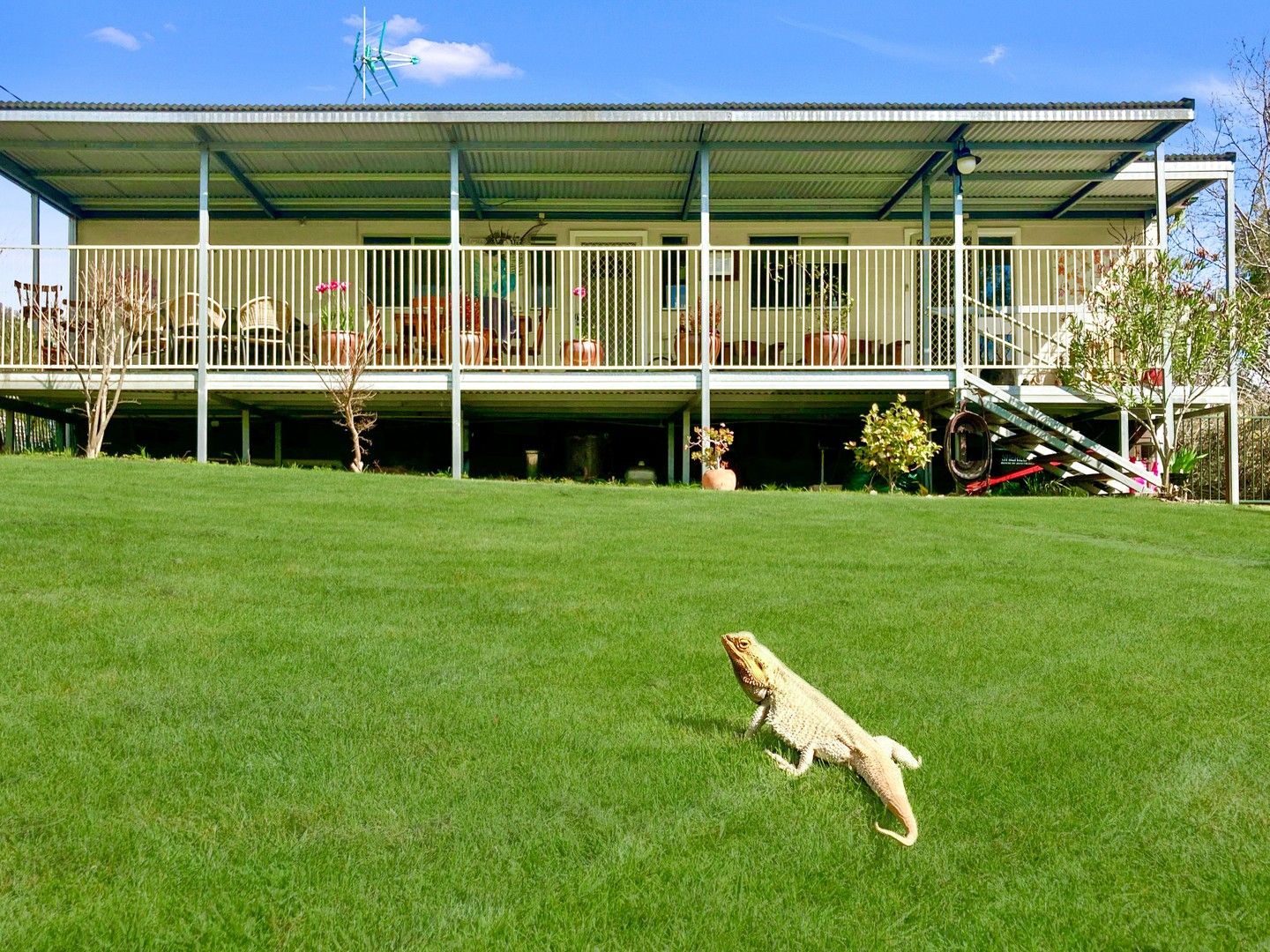 16 Day Street, Talbingo NSW 2720, Image 0