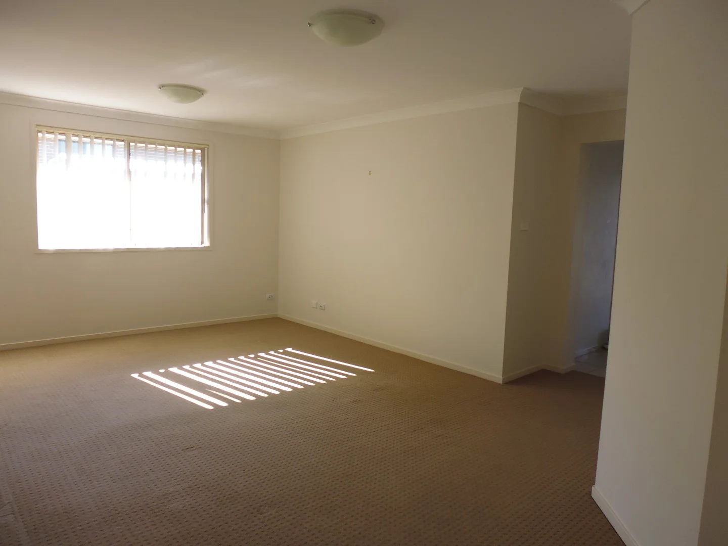 Additional image 4 of 19 Cleveland St, Cameron Park NSW 2285