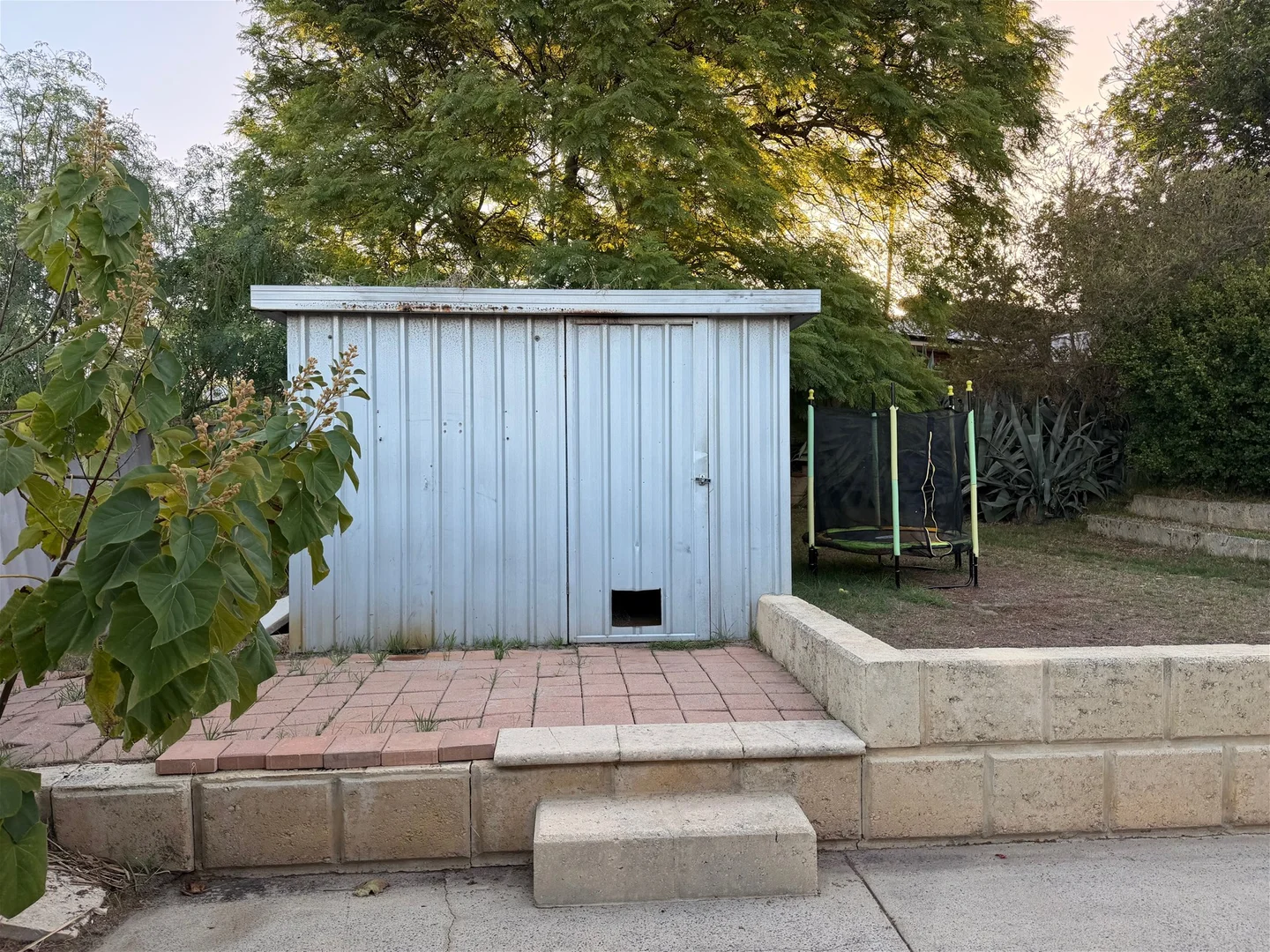 Image 21