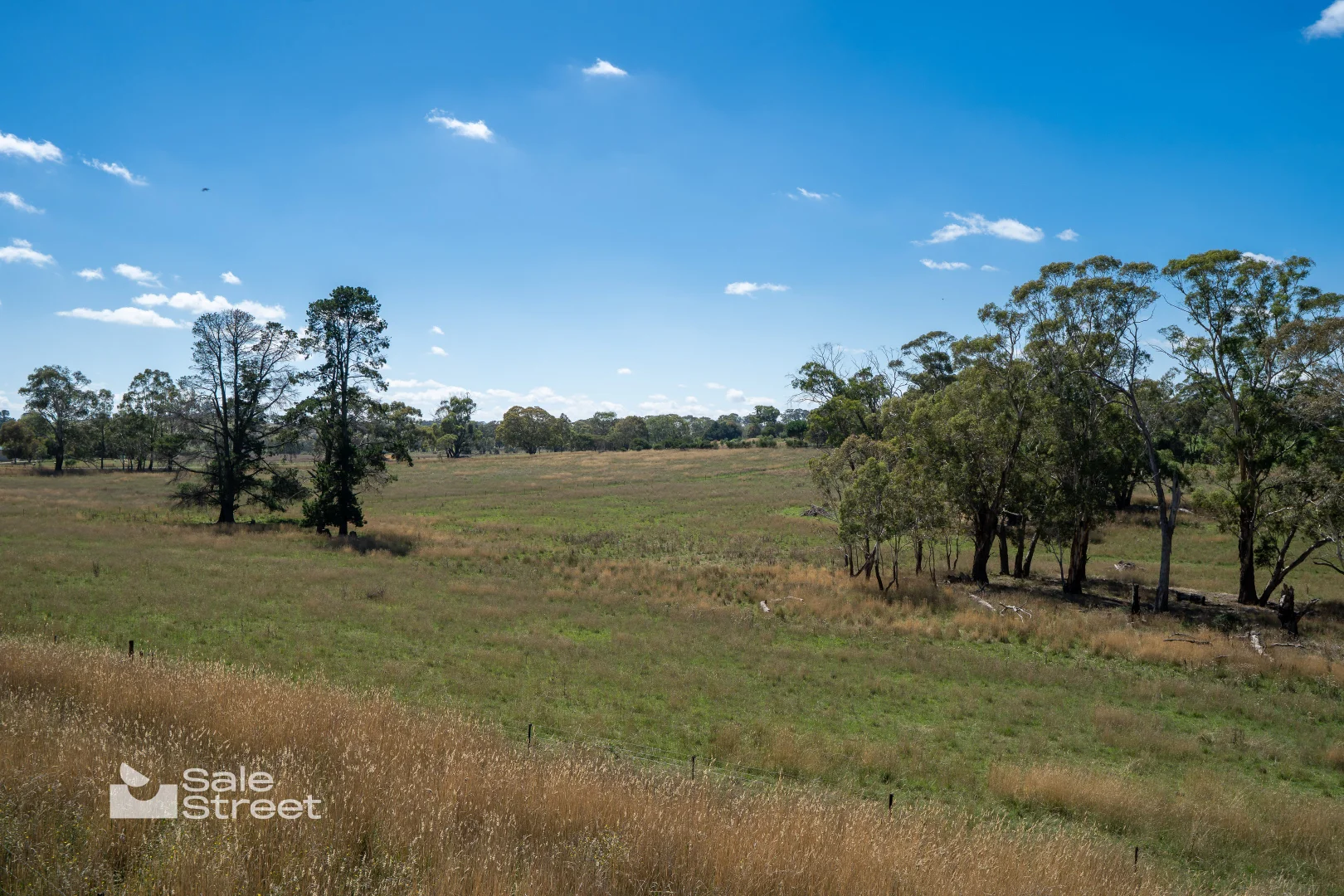 Additional image 39 of 167 Carbine Road, Forest Reefs NSW 2798