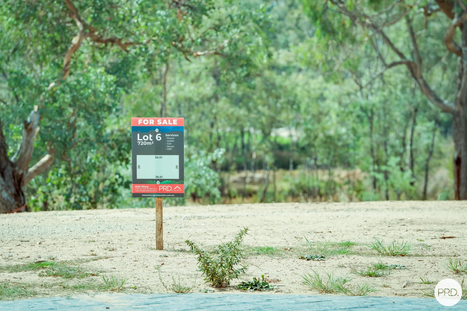 Image 6