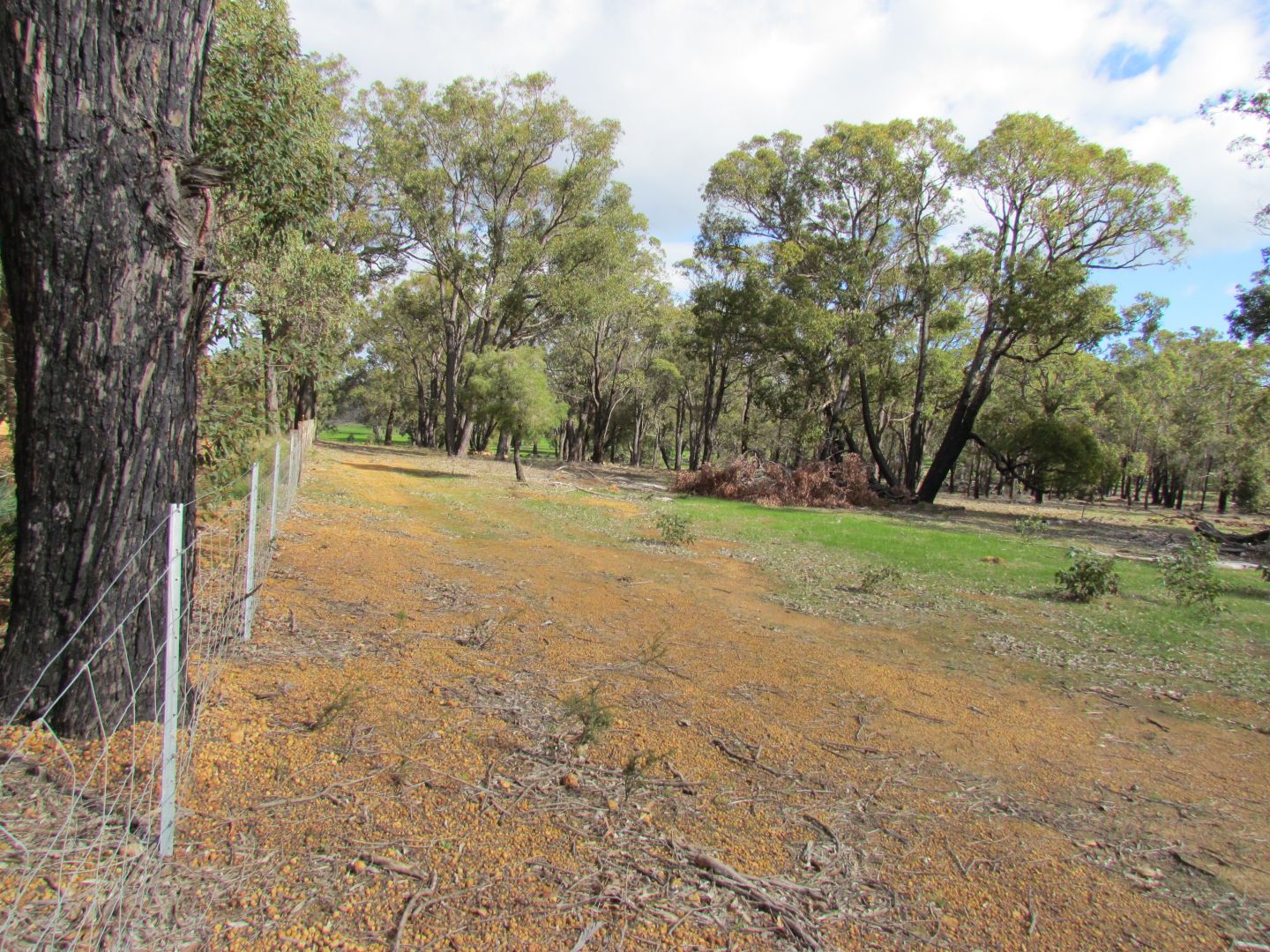 Lot 50 Gibbs Road, Trigwell WA 6244, Image 1