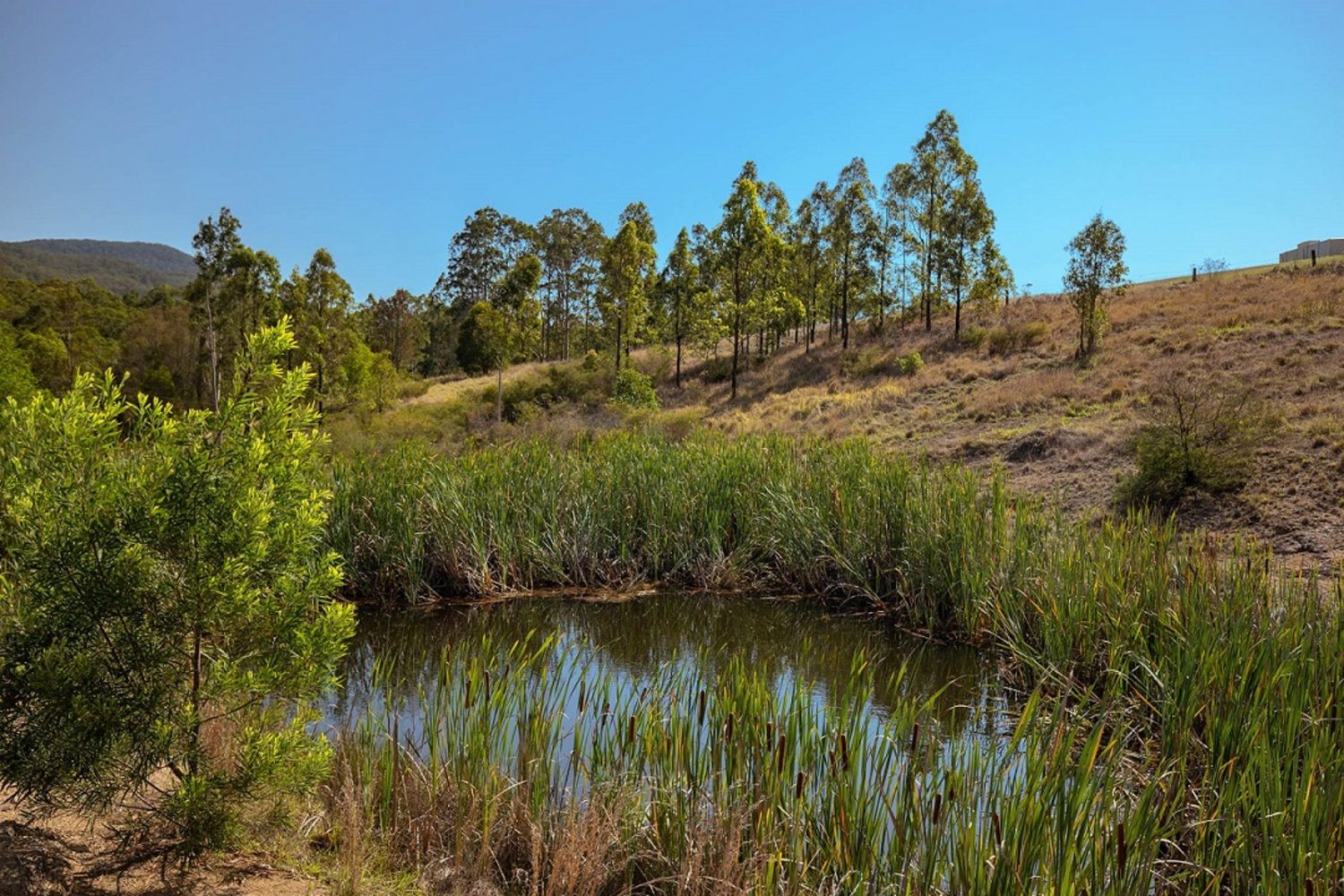 Lot 6/1848 Glen Ayr, Road, Girvan NSW 2425, Image 2