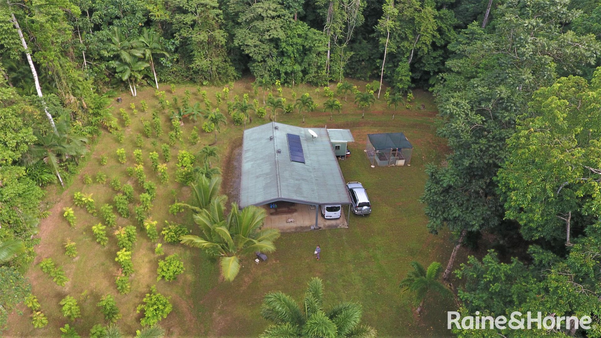 116 Hickory Road COW BAY, Daintree QLD 4873, Image 1