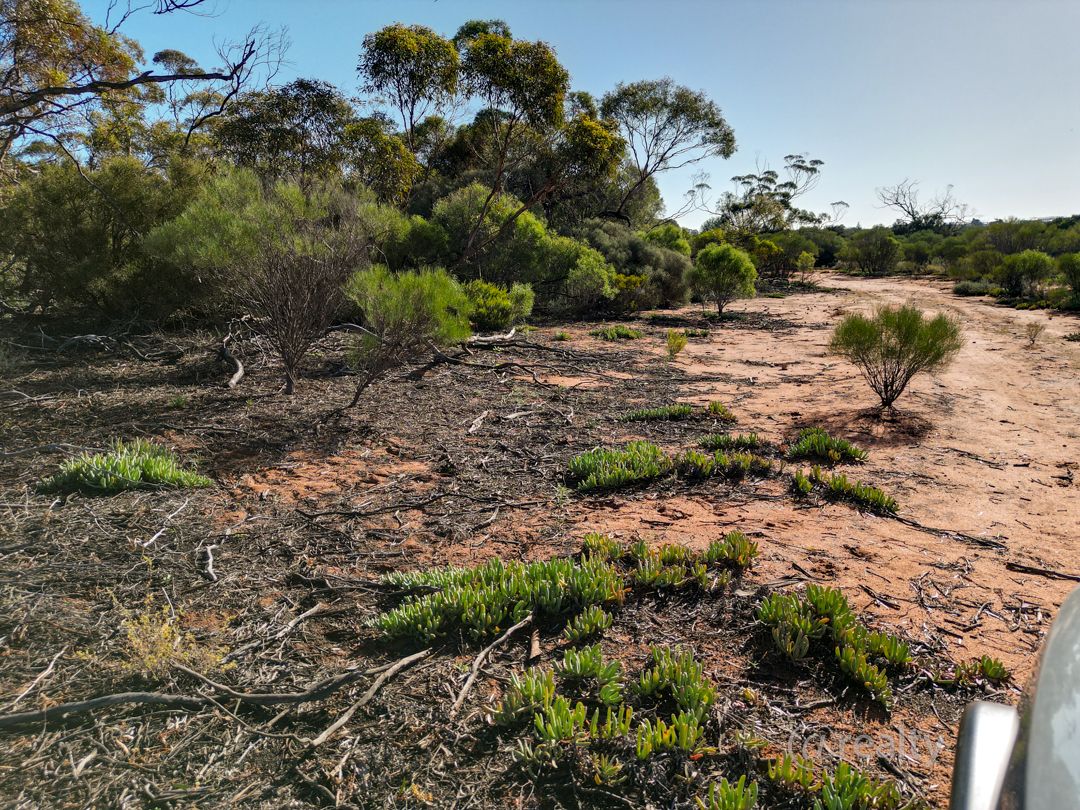 147 Vasey Road, Waikerie SA 5330, Image 1