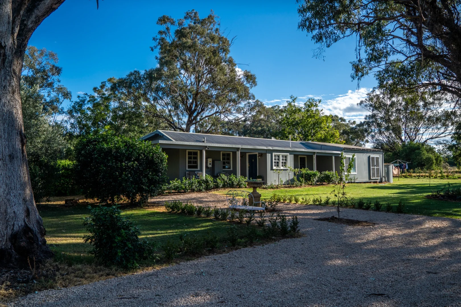 Image 10