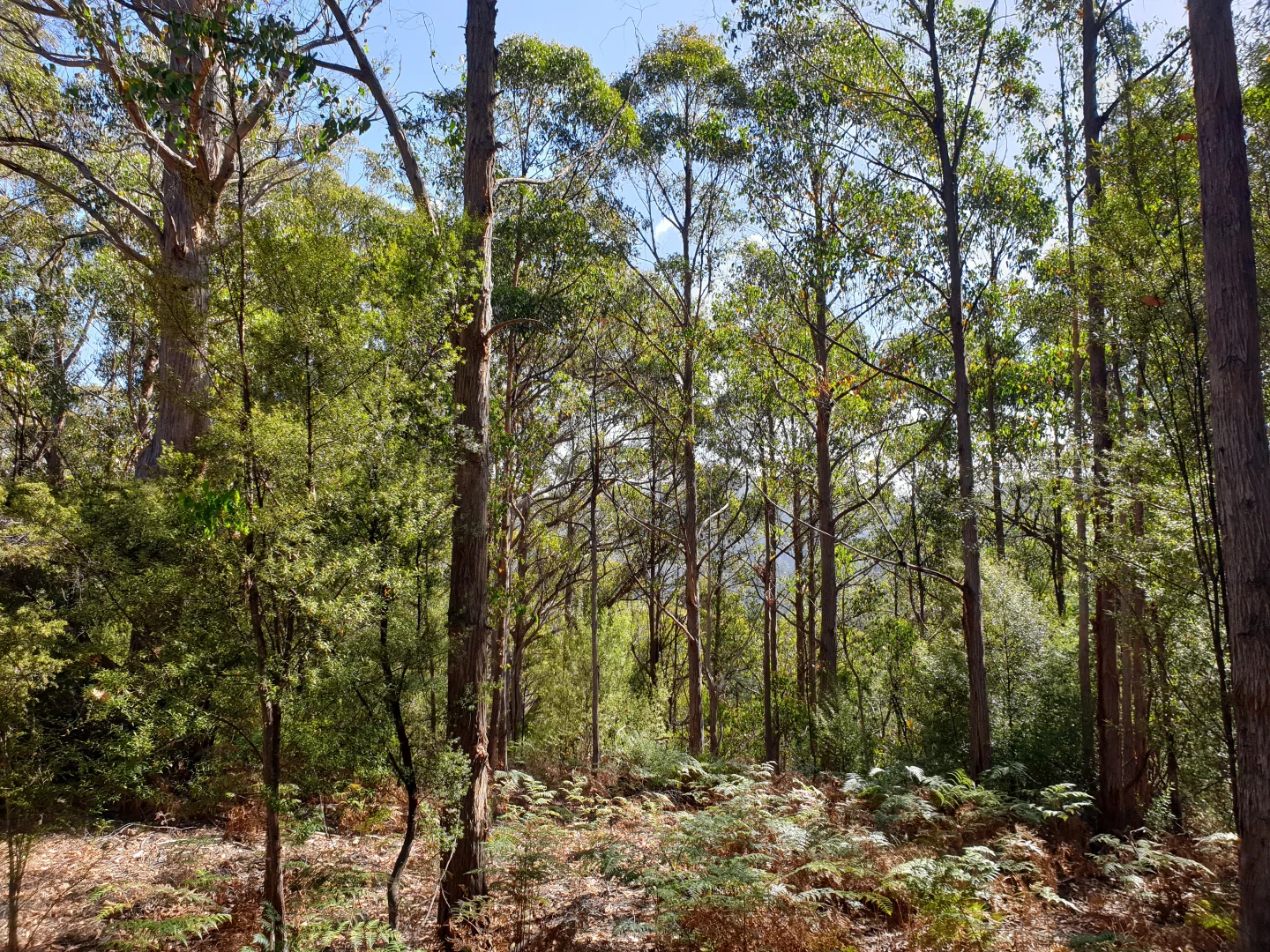 Image 10