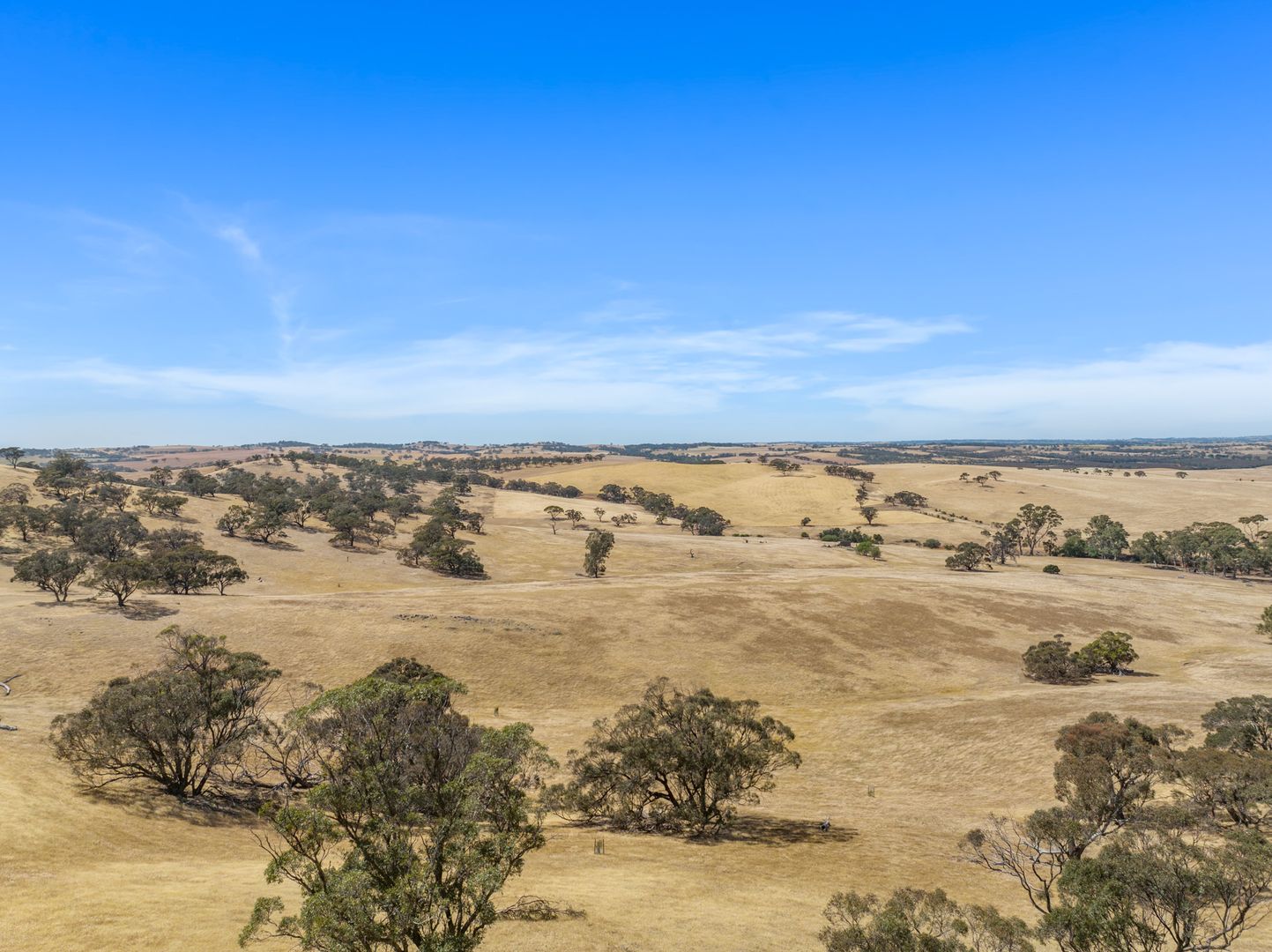 413 Watunga Road, Koonunga SA 5373, Image 1