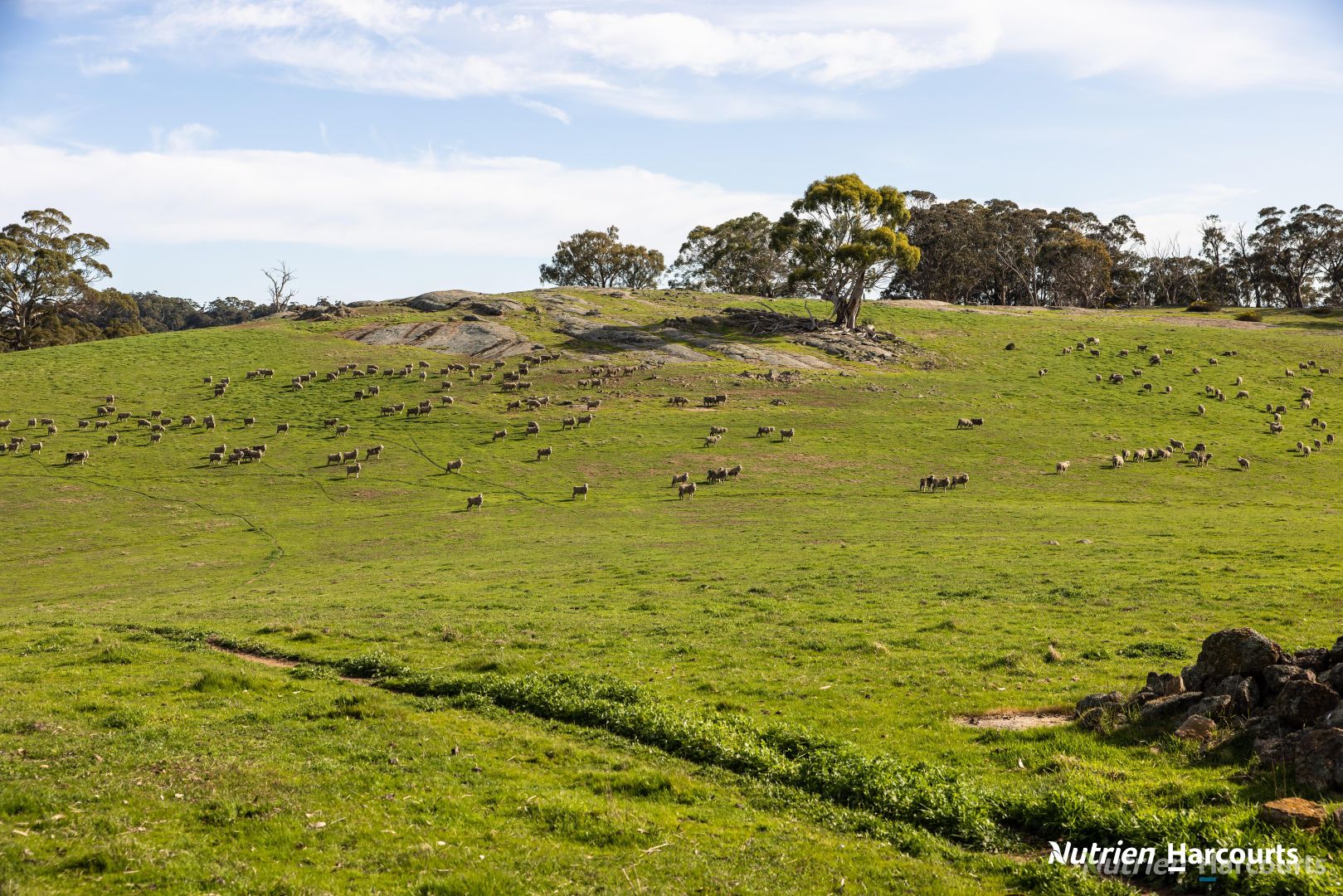 455 Tames Road, Strathbogie VIC 3666 House for Sale Domain