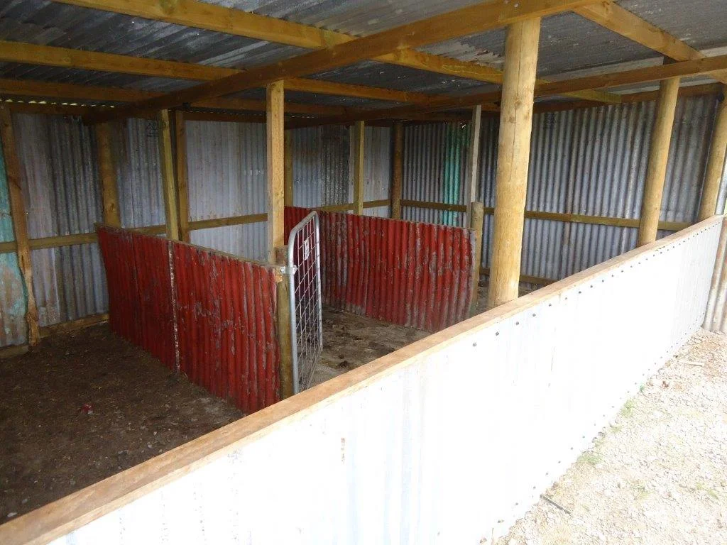 Image 7