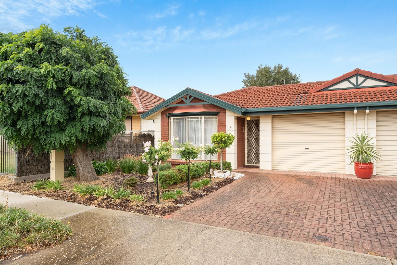 14 Allison Street, Ascot Park SA 5043 House For Rent 530 Domain