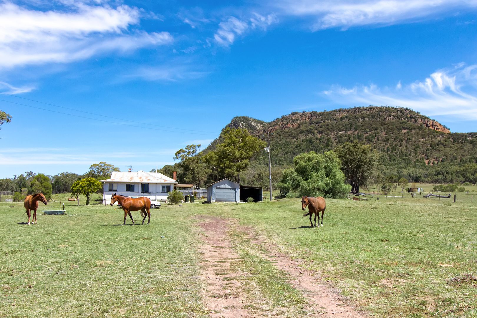 3632 Lockhart-The Rock Road, The Rock NSW 2655, Image 2