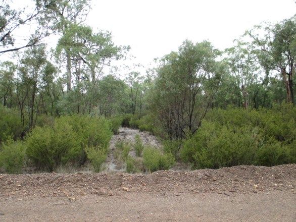 Lot 180 Golden Glow Road, Tara QLD 4421, Image 2