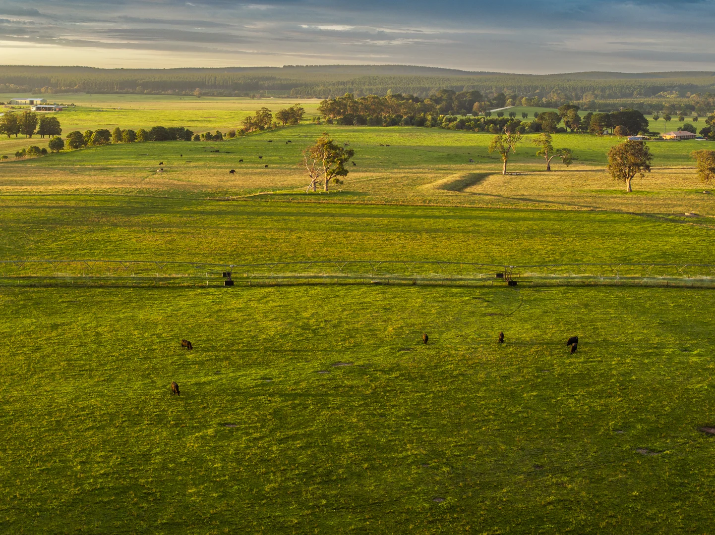 Additional image 29 of 103 Kellys Road, Longford VIC 3851