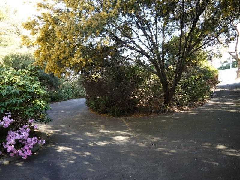 78 Westwood Street, Bridport TAS 7262, Image 2