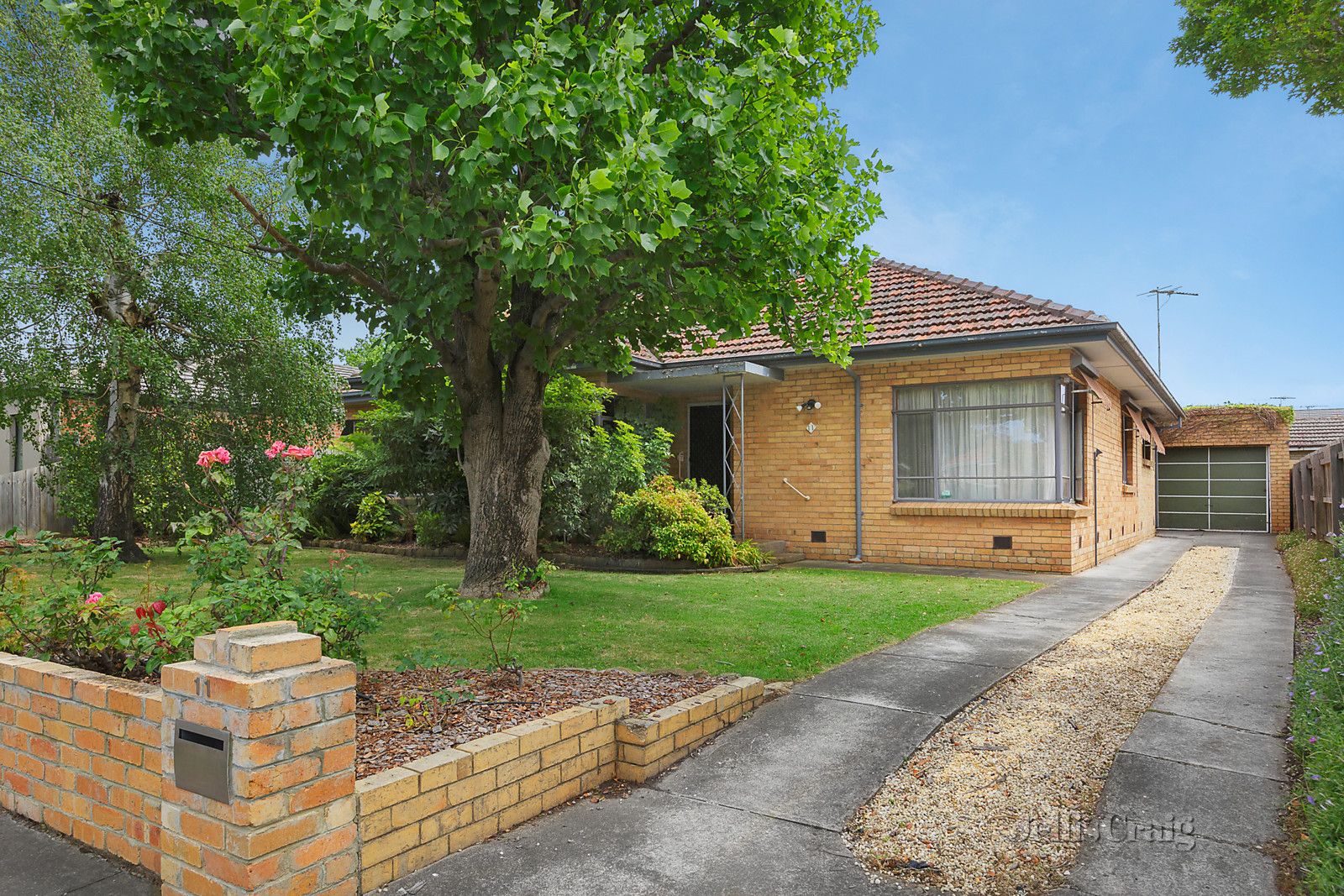 11 Paloma Street, Bentleigh East VIC 3165, Image 0