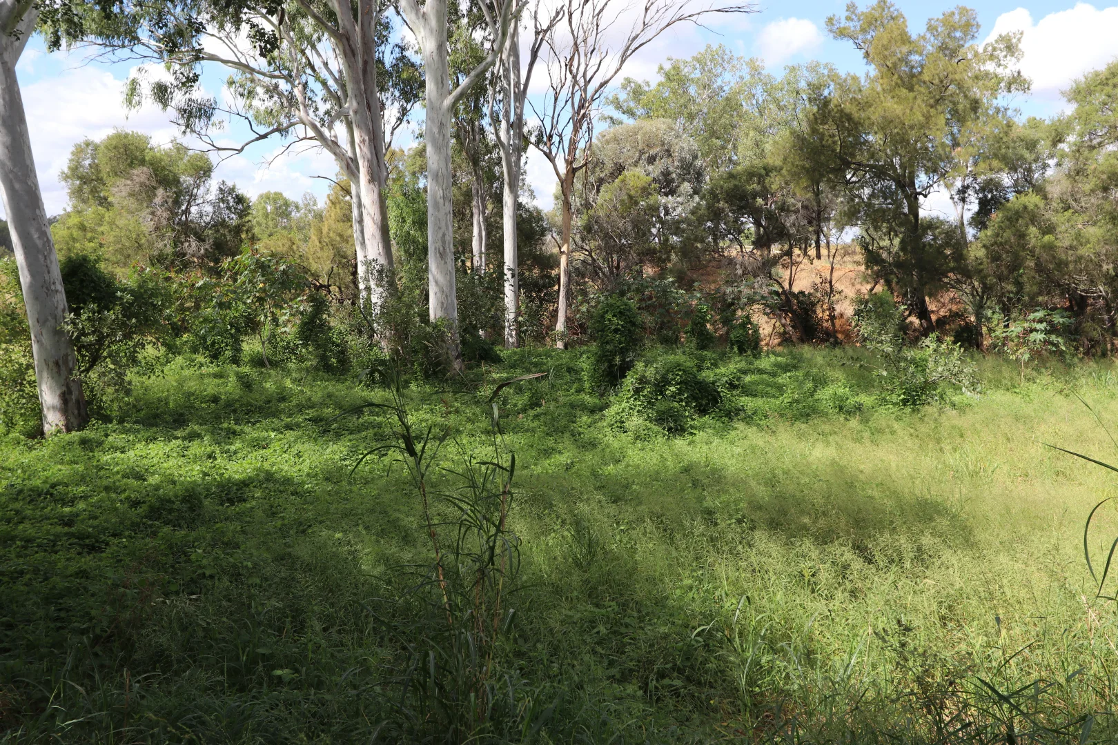 Image 11