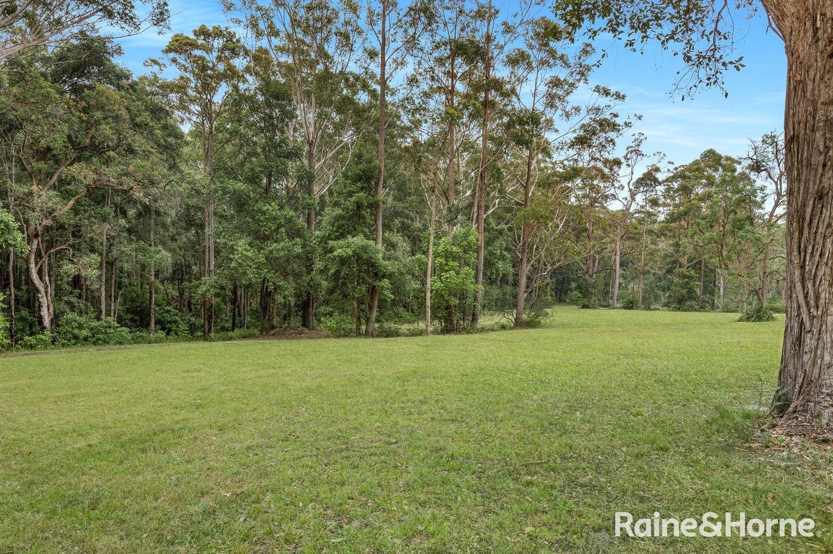 49b Woollamia Road, Falls Creek NSW 2540, Image 0