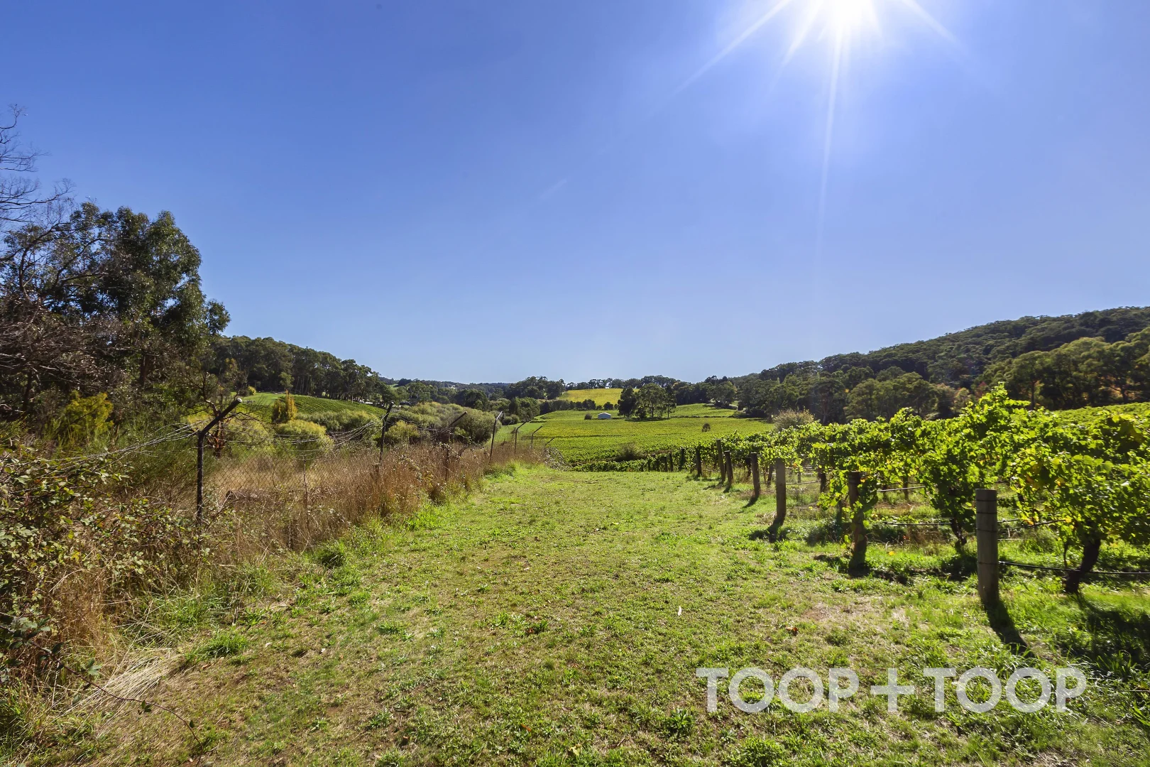 Additional image 3 of 12 Udys Road, Piccadilly SA 5151