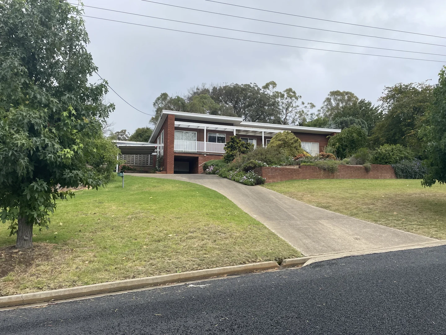 Image 16