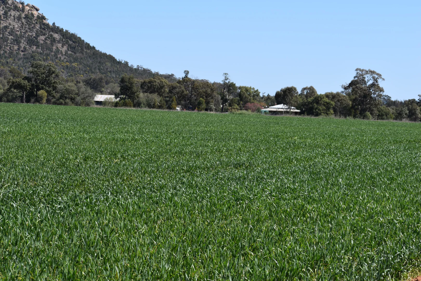 Image 10