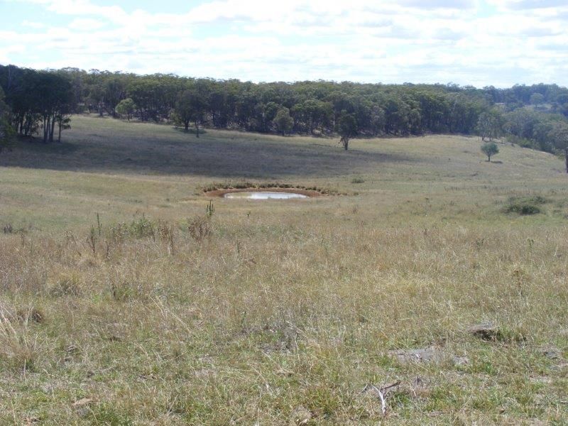 'Mosgiel'/. Whites Road, Ben Lomond NSW 2365, Image 0