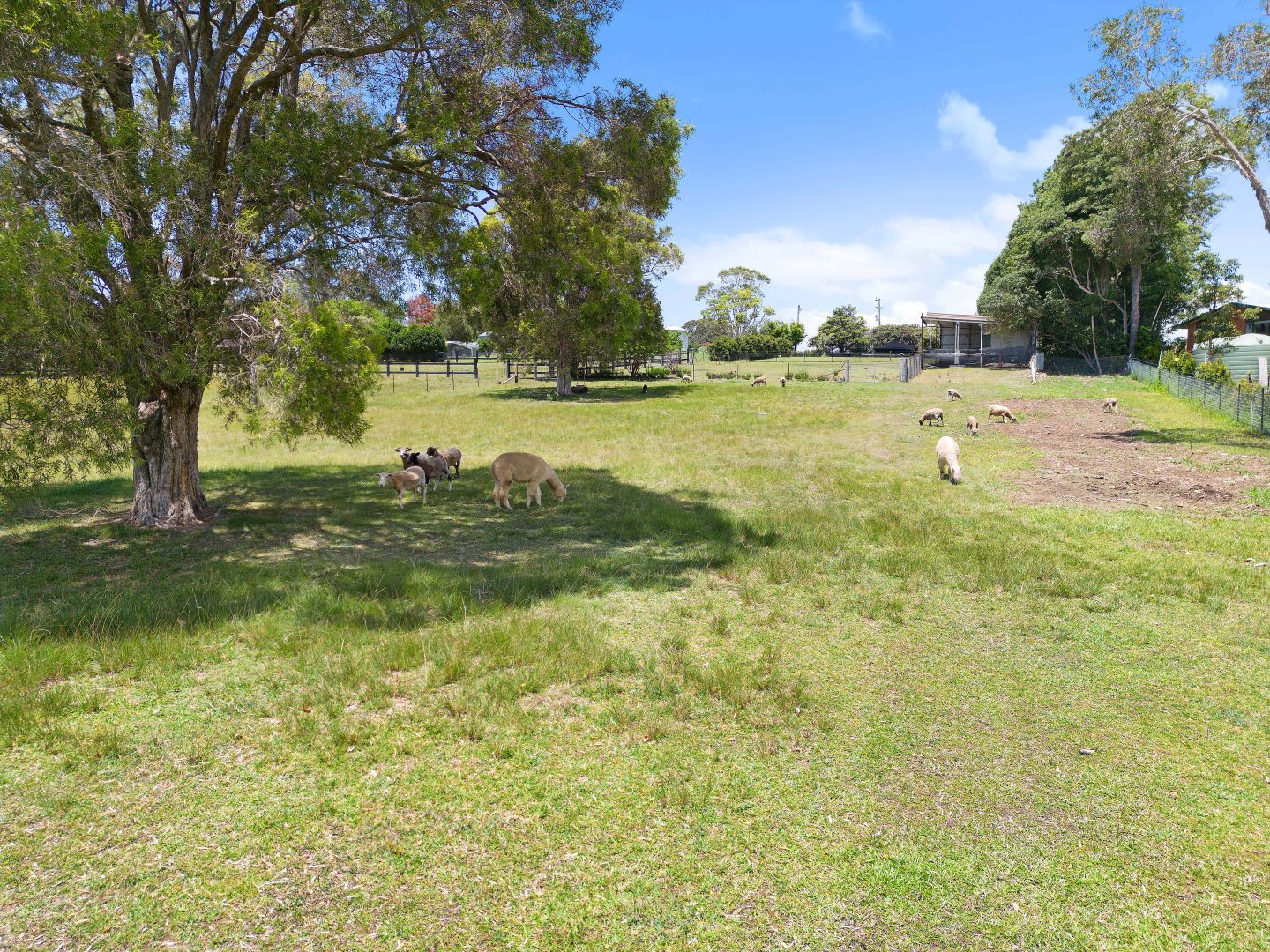 33 Williams Road, Bonville NSW 2450, Image 2