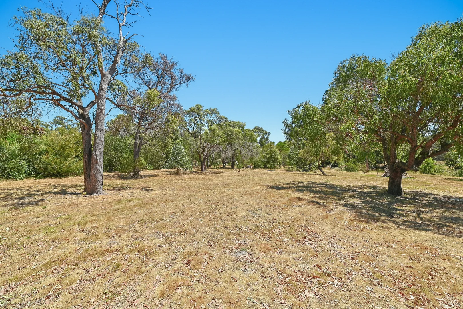 Additional image 22 of 431 North Road, Langwarrin VIC 3910