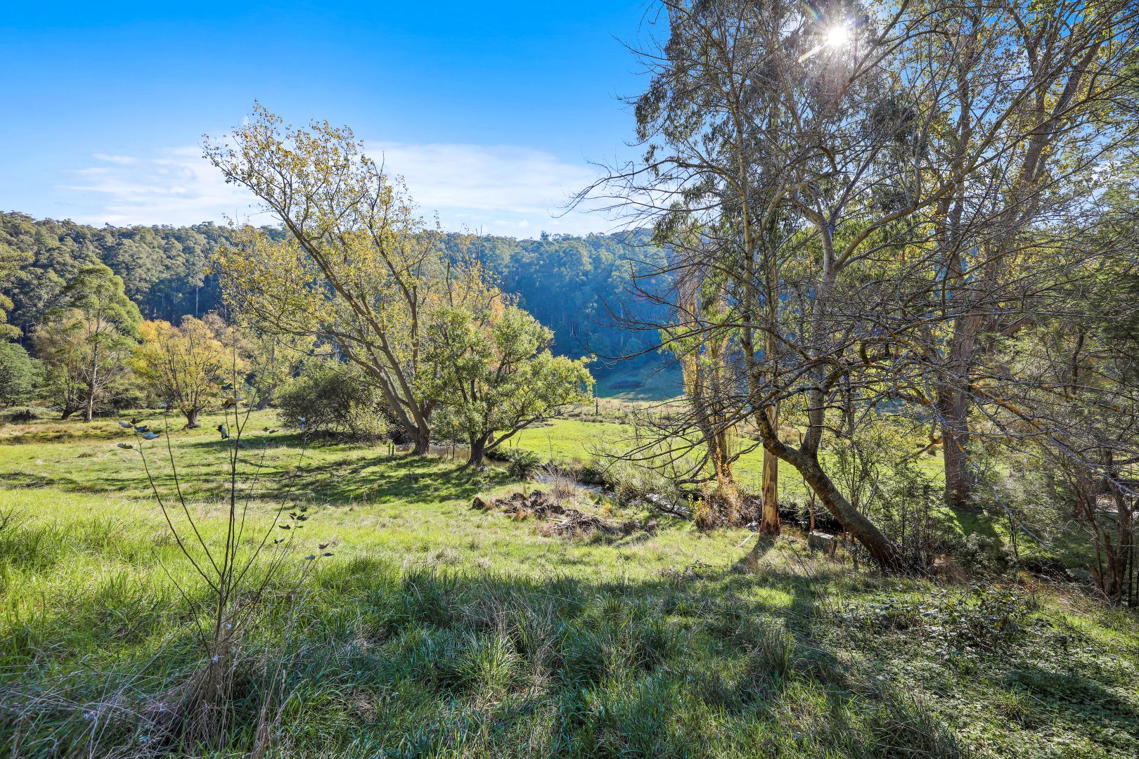 5 Toorongo Valley Road, Noojee VIC 3833, Image 1