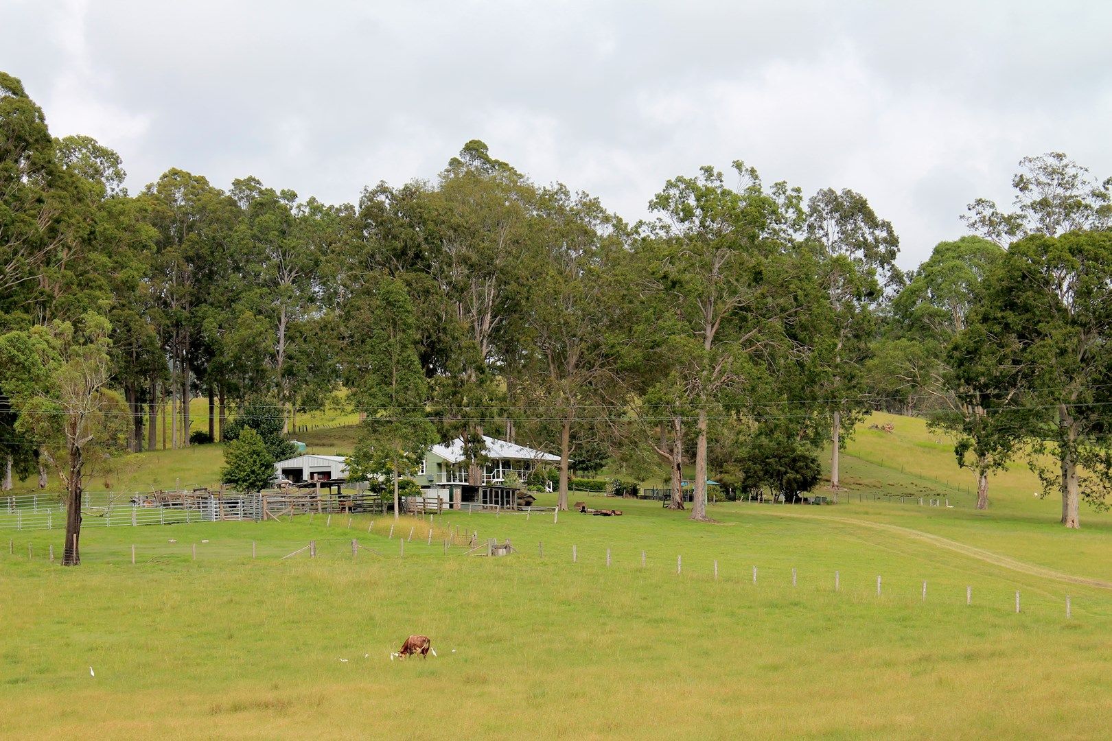 77 Sandilands Street, Bonalbo NSW 2469, Image 0