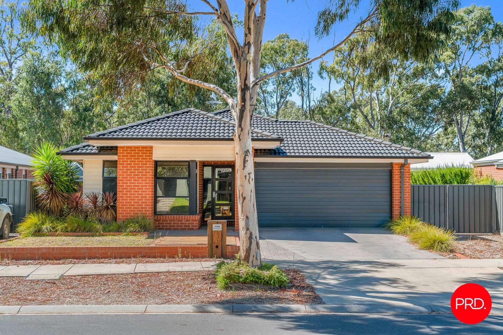 41 Yellowgum Drive, Epsom VIC 3551 House For Rent 450 Domain