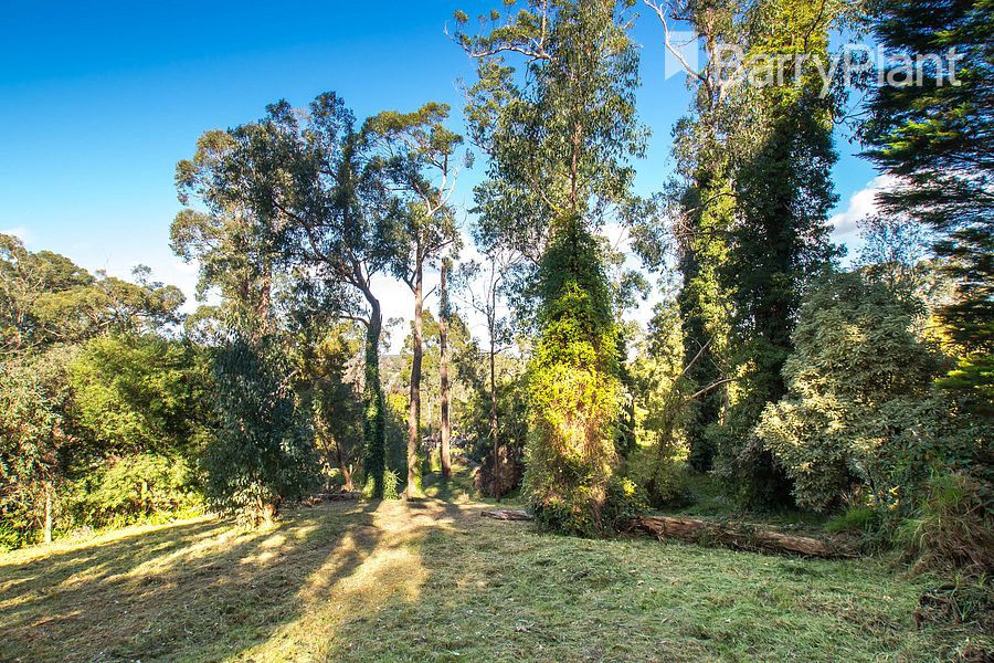 14 Ferguson Street, Upwey VIC 3158, Image 2