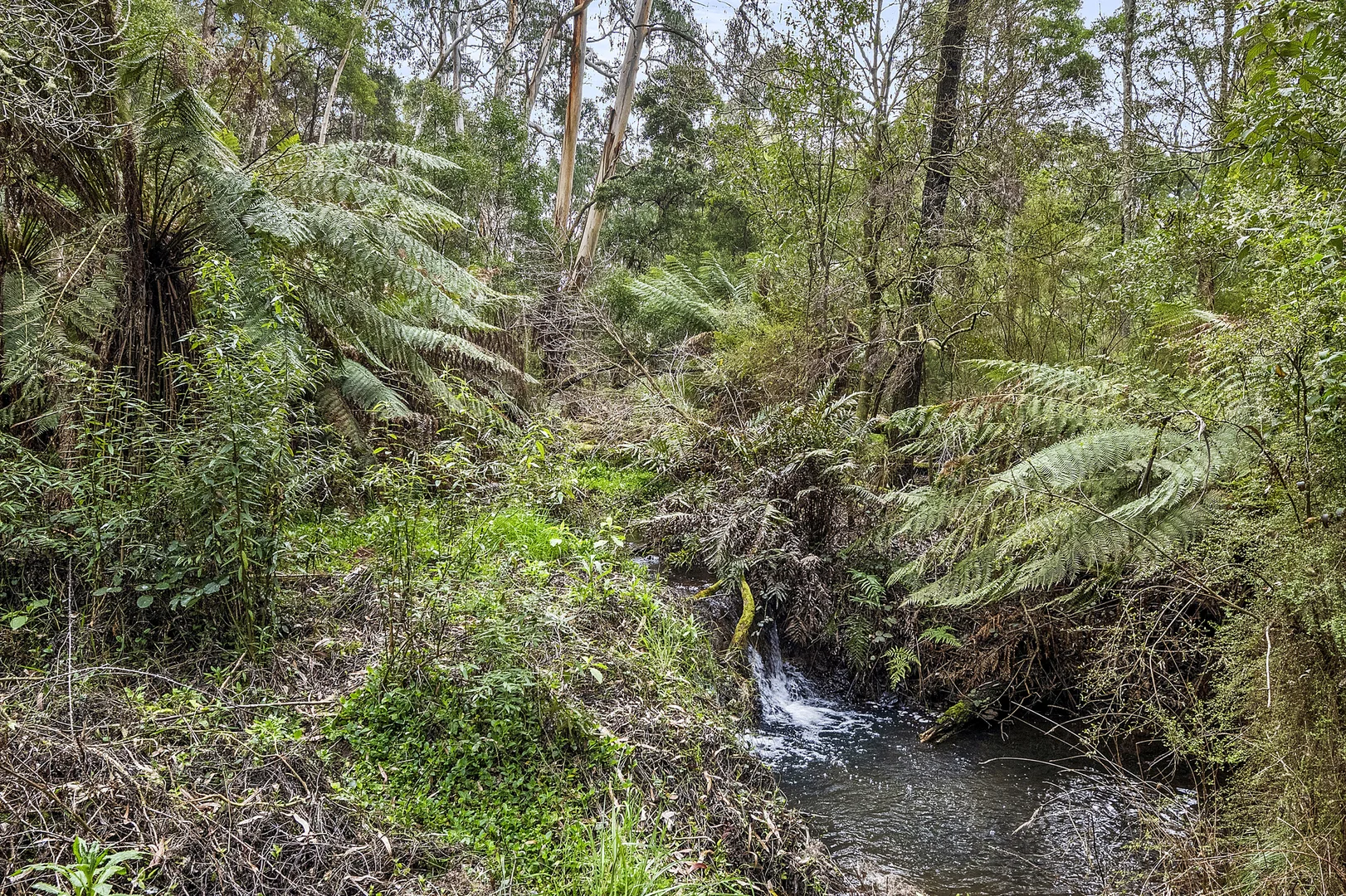 Image 24