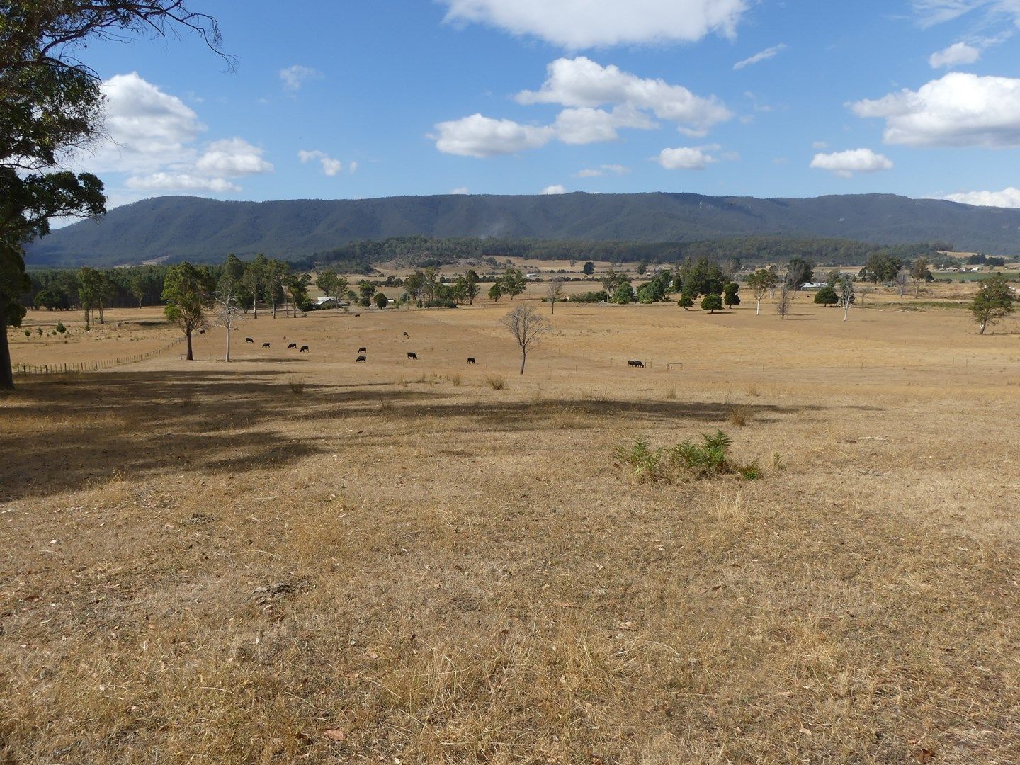 Lot 1 Union Bridge Rd, Mole Creek TAS 7304, Image 0