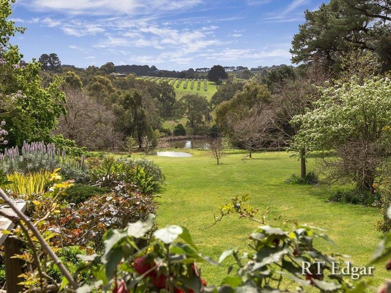 141 Point Leo Road, RED HILL SOUTH VIC 3937, Image 1