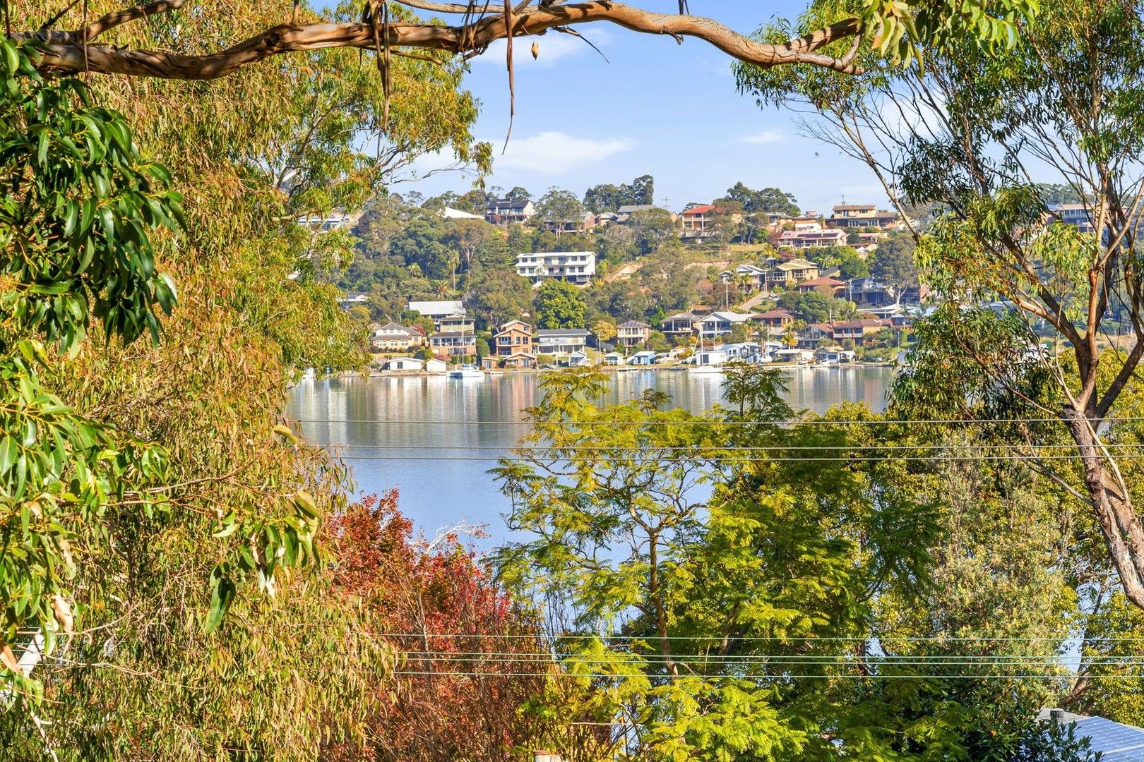 154 Coal Point Road, Coal Point NSW 2283 | Domain