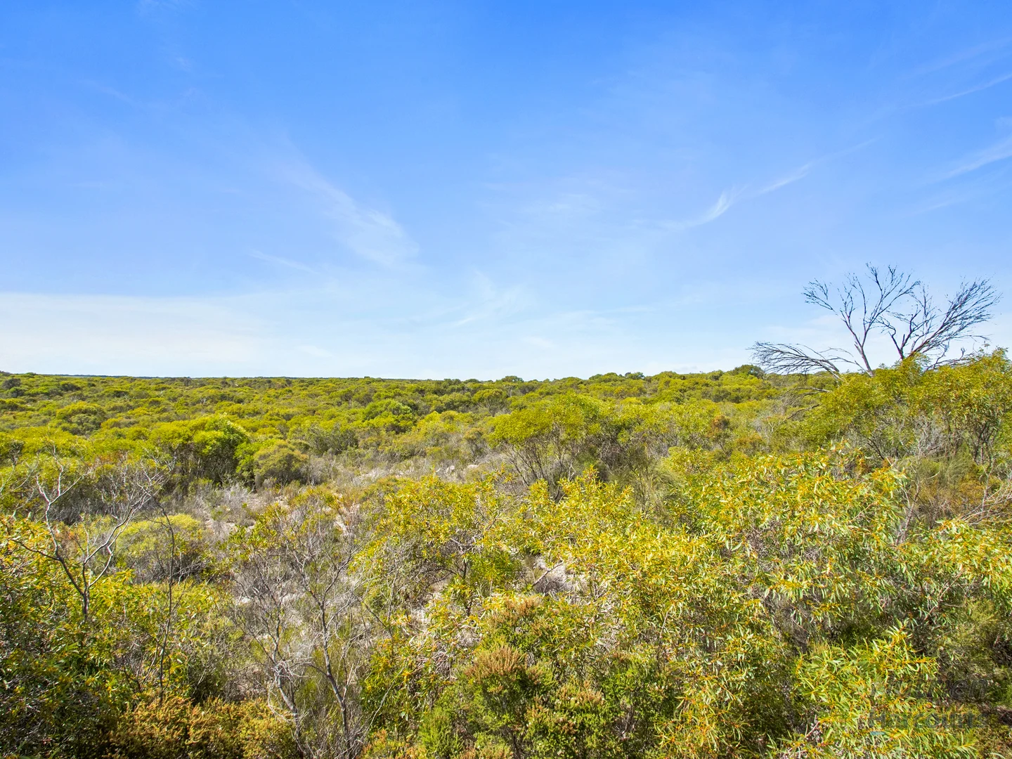 Additional image 7 of Sect. 230 Levens Road, Warooka SA 5577