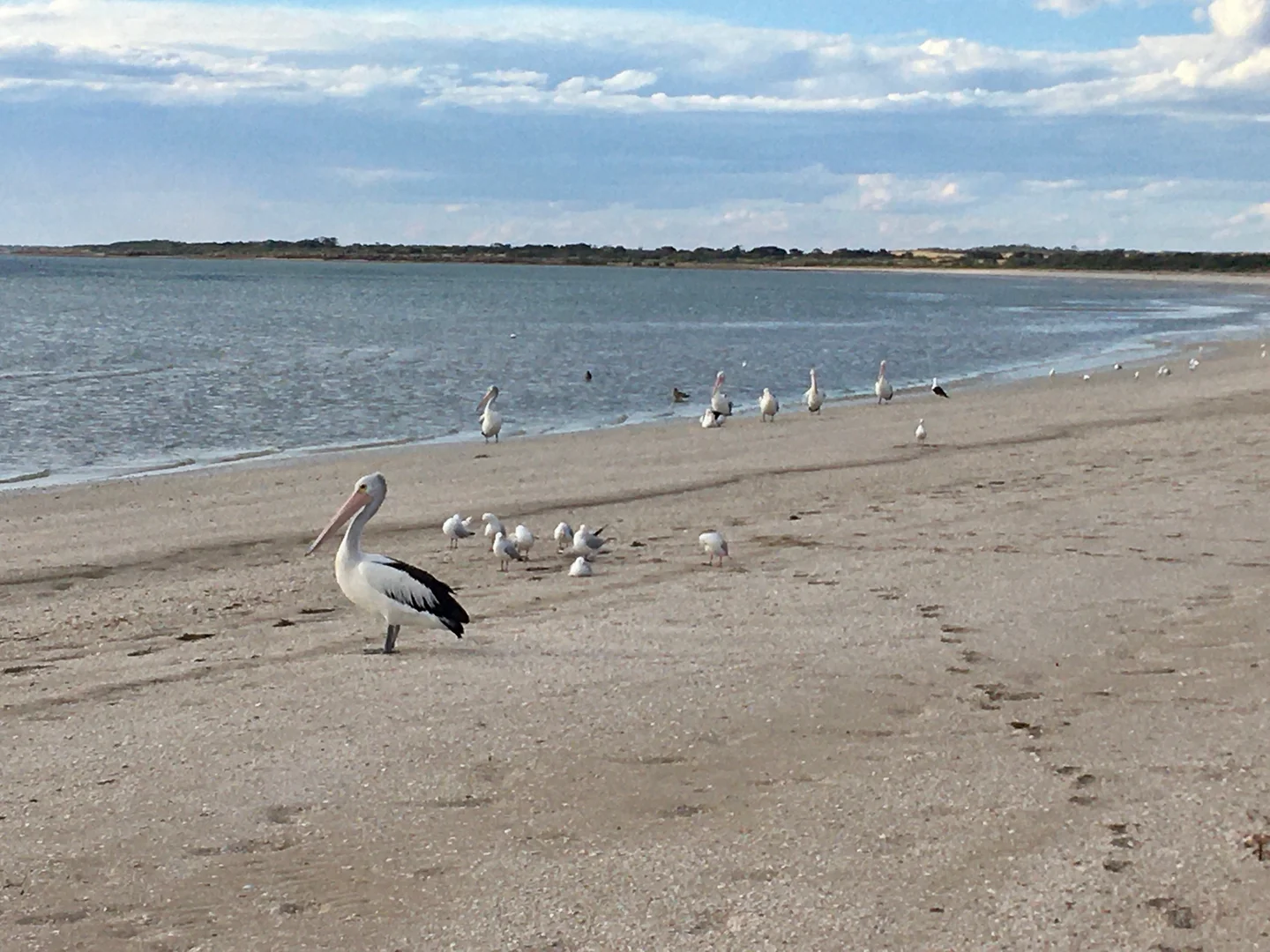 Additional image 22 of 46 Denton Street, Smoky Bay SA 5680