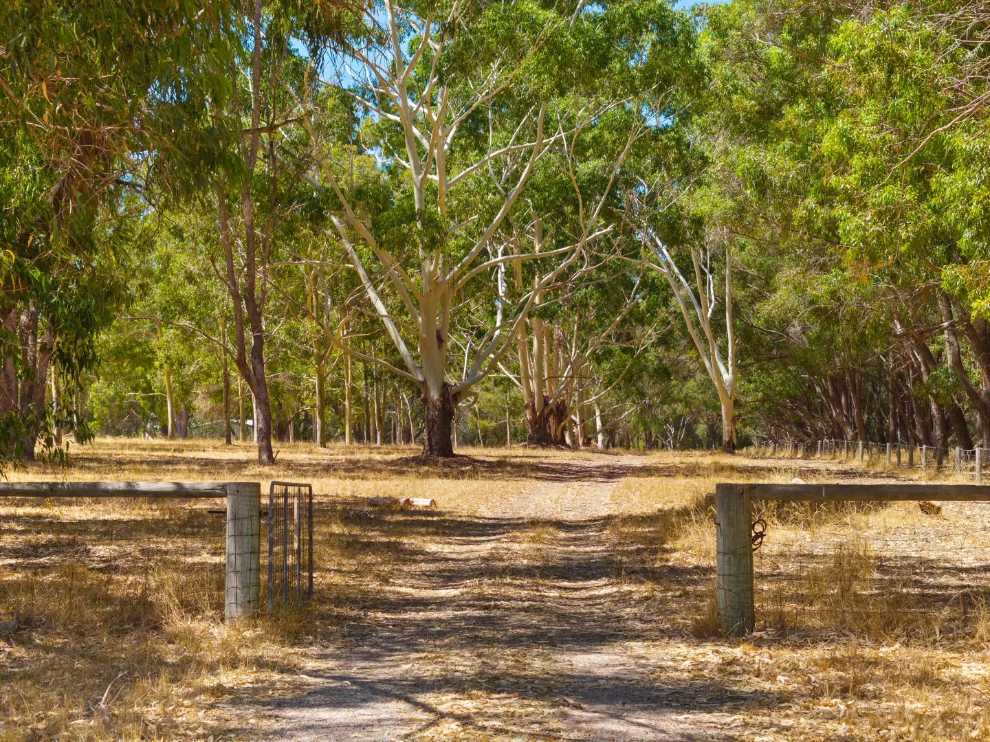 Additional image 6 of Lot 6/338 Fletcher Road, Karnup WA 6176