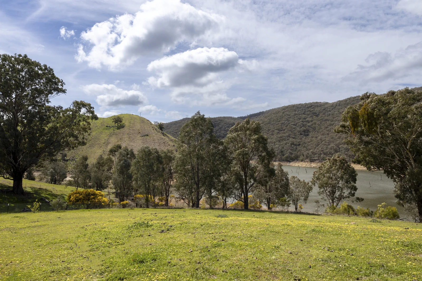 Image 14