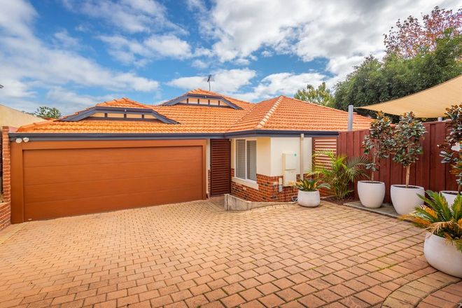 Picture of 23A Mimosa Avenue, MOUNT CLAREMONT WA 6010