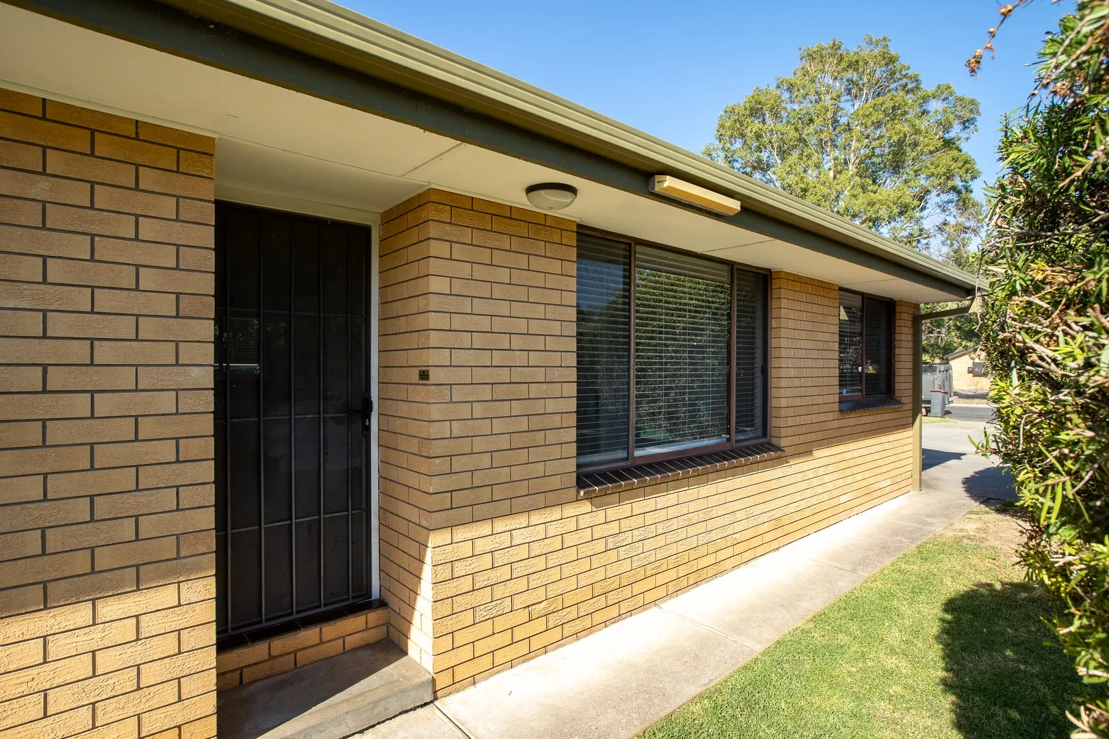 Affordable Living With Modern Updates, North Albury
