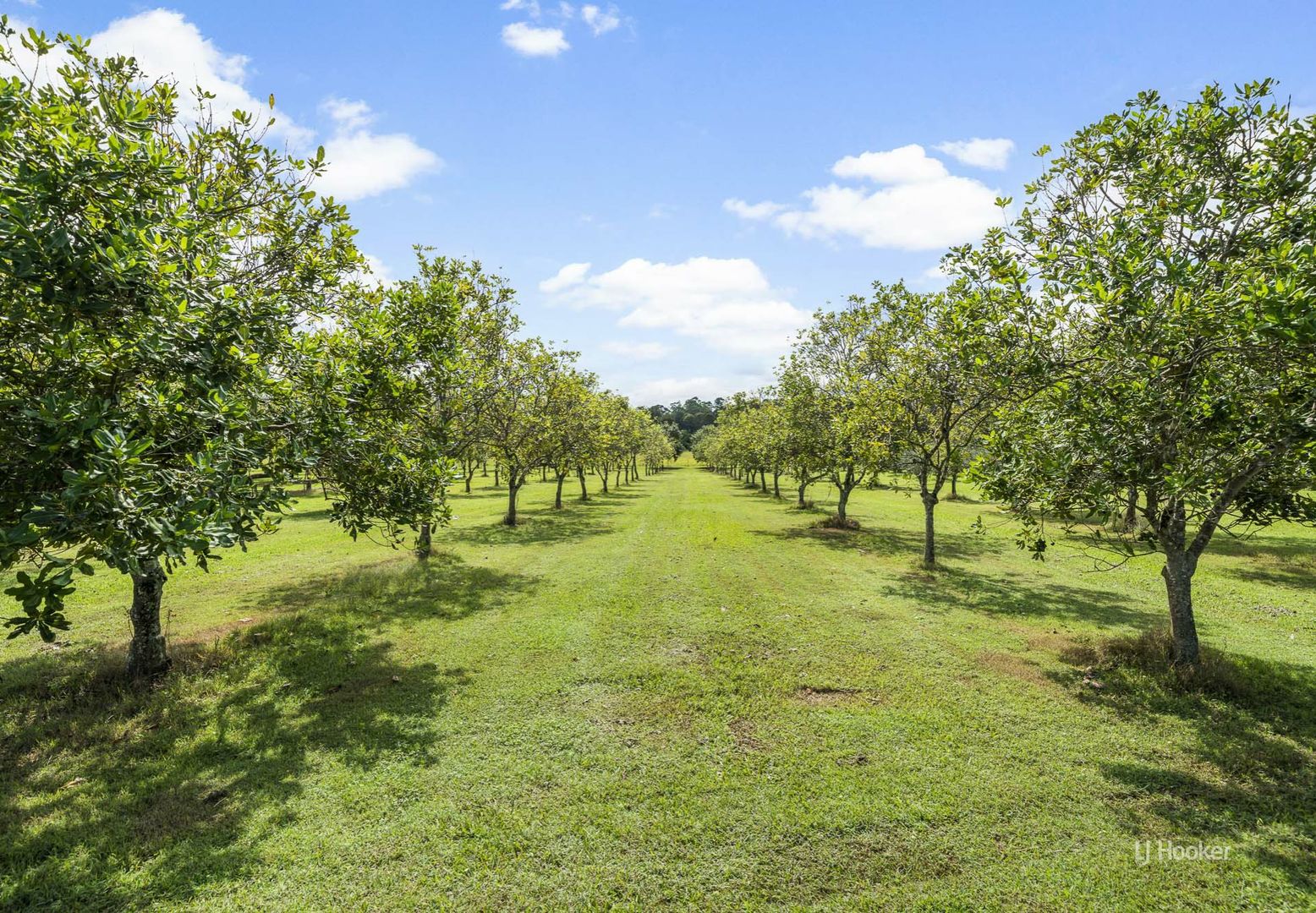 Lot 11 Ogilvie Road, Blackbutt South QLD 4314, Image 2