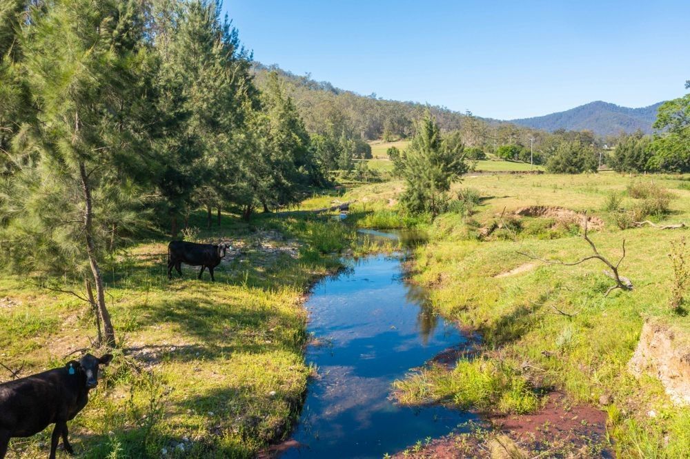 113 Upper Buckra Bendinni, Bowraville NSW 2449 House for Sale