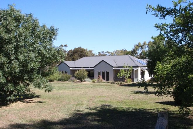 Picture of Lot 62 Burton Street, MINTARO SA 5415