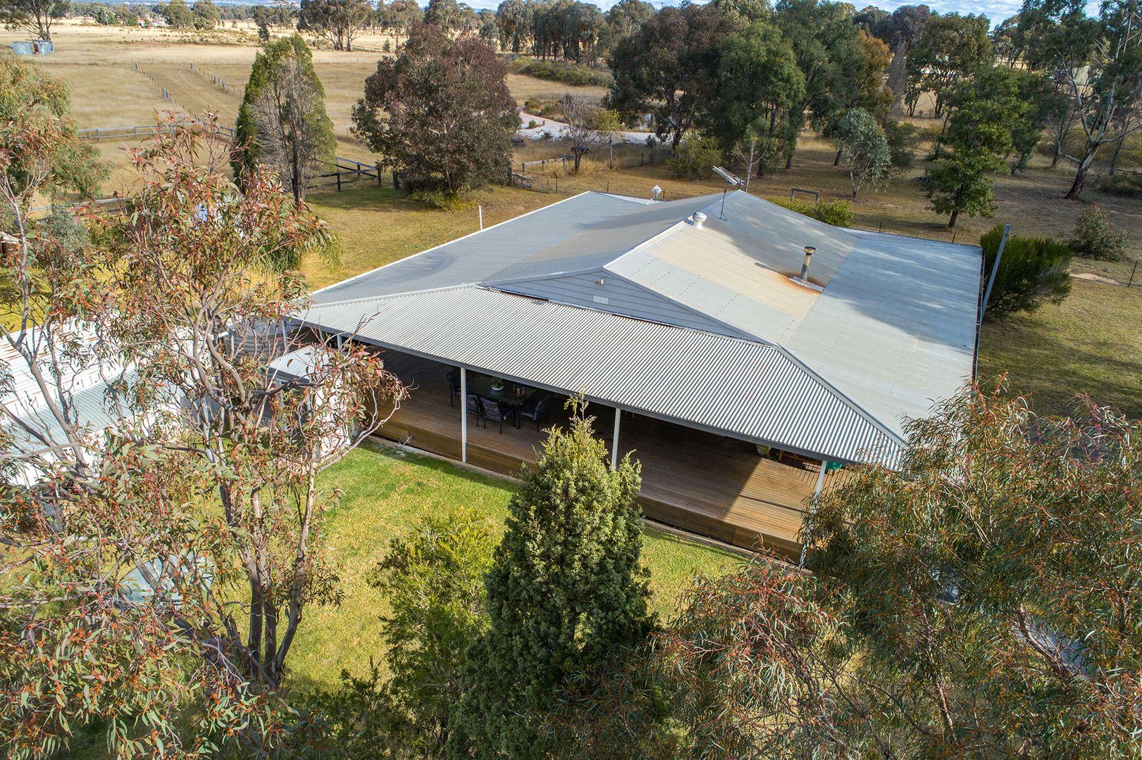 110 Beela Road, Gulgong NSW 2852, Image 2